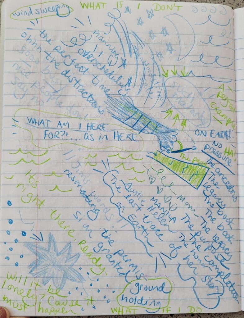 Eileens journal pg