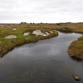 Flowing River