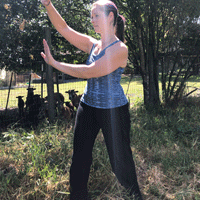 Taiji-Pole-Light Taiji-Pole-Light
